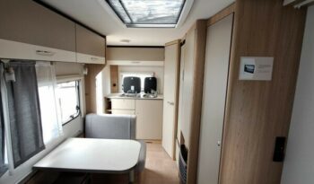 LMC Sassino 450 D complet